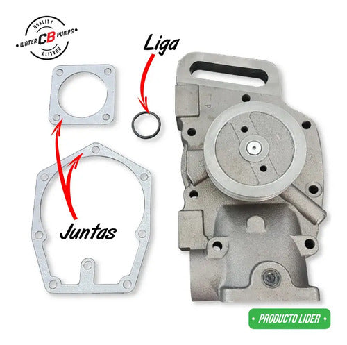 Bomba De Agua Compatible Con Cummins Small Cam