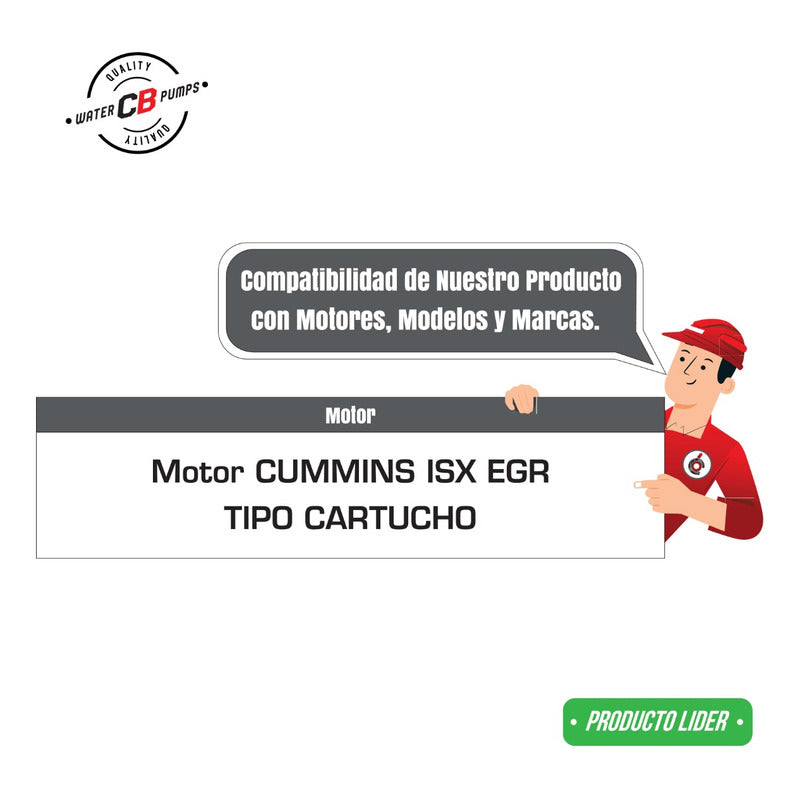 Bomba De Agua Cummins Isx Egr Con Base Salida Inferior Larga