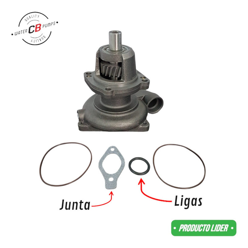 Bomba De Agua Compatible Con Cummins L10 Con Campana