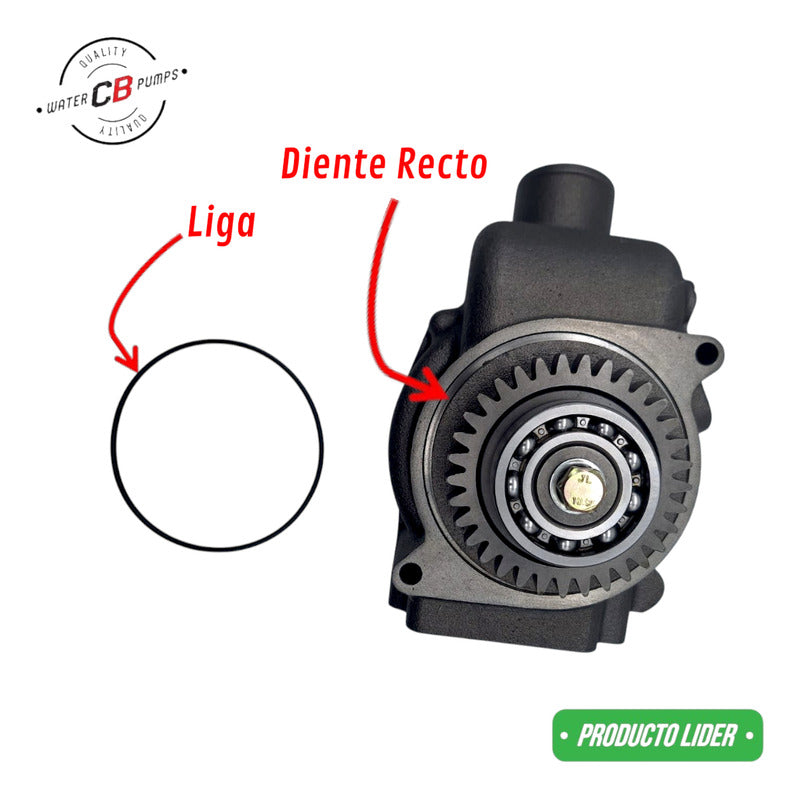 Bomba De Agua Para Caterpillar 3306 3304 (diente Recto)