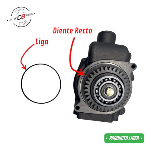 Bomba De Agua Para Caterpillar 3306 3304 (diente Recto)